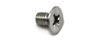 Factory Dove Tail Screw, Door, 70-73 240Z