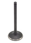 Intake Valve, 75-80 280Z-280ZX