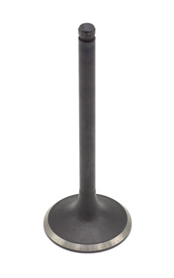 Intake Valve, 75-80 280Z-280ZX